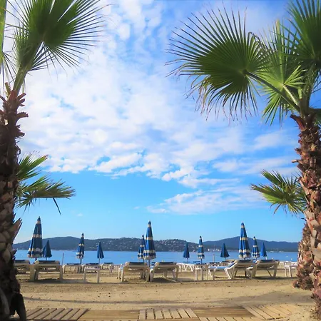 Perdrix Grimaud